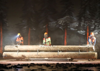 Klimafrevel in der Wolfsschlucht